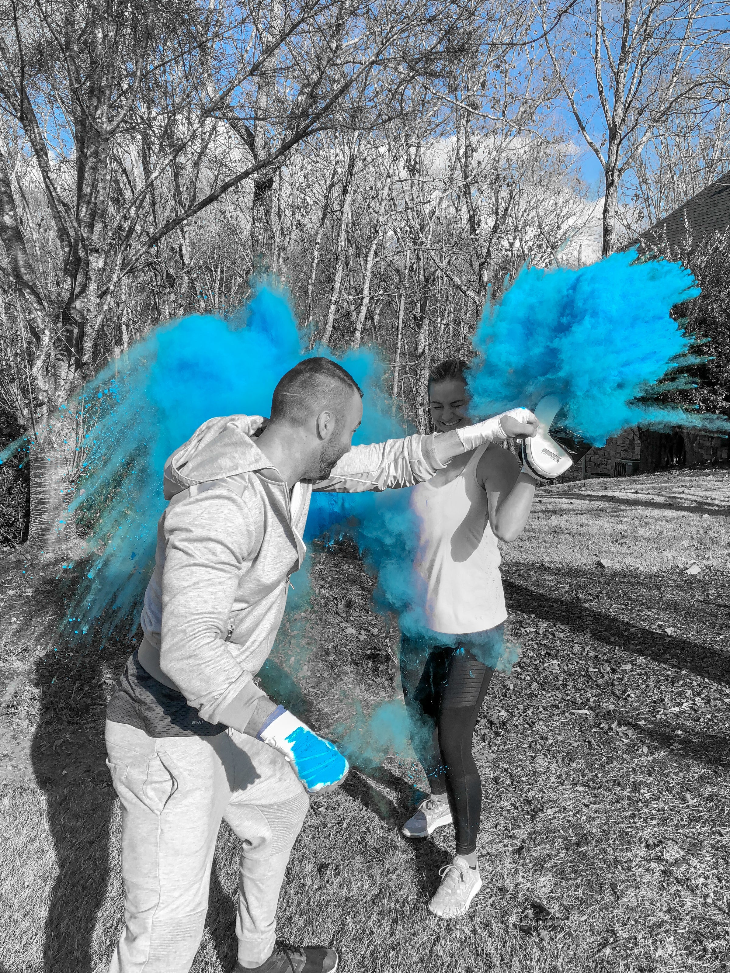 Boxing, MMA, UFC, Karate, and Kickboxing Gender Reveal
