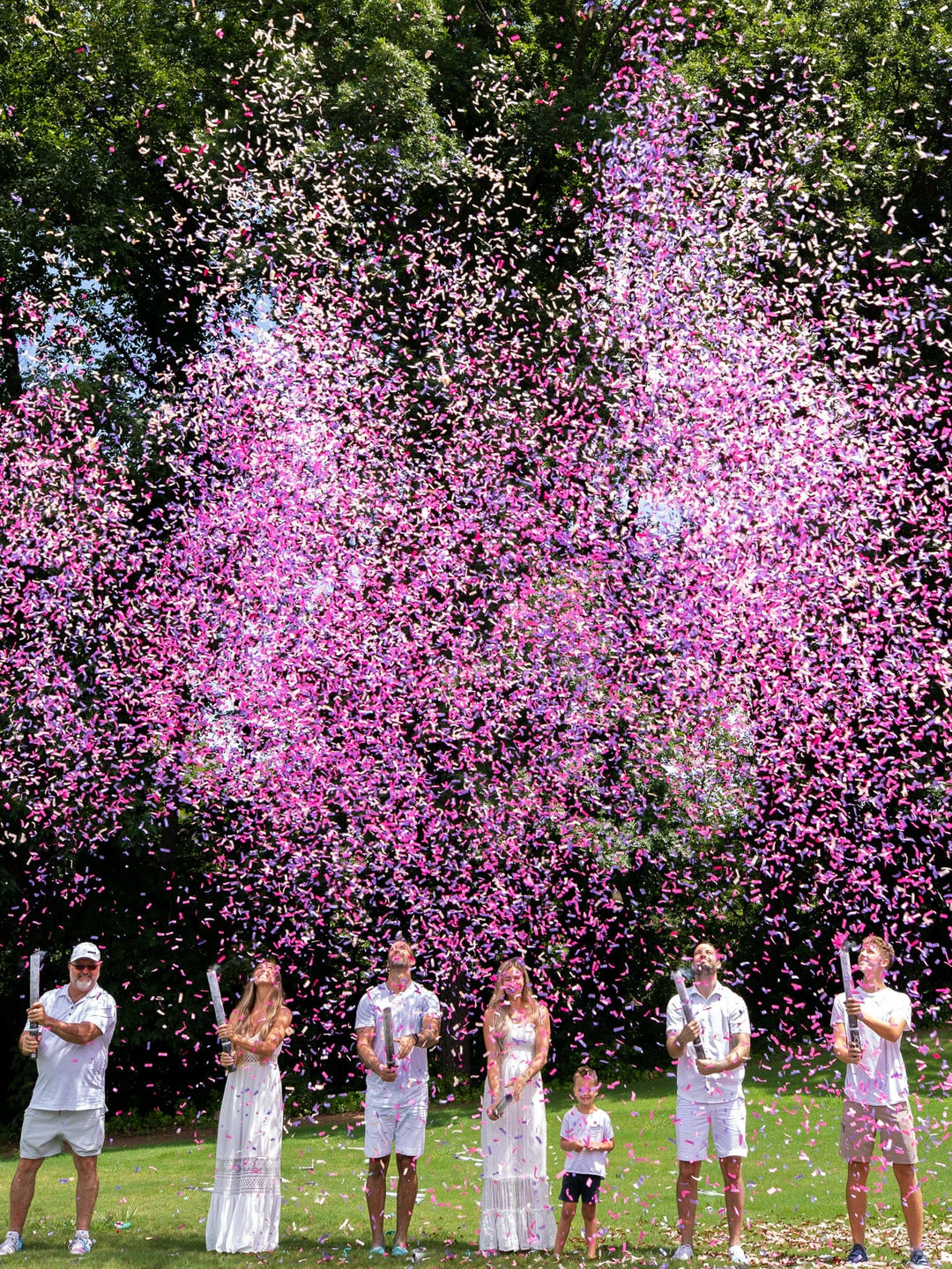 Confetti Gender Reveal Cannons Poof There it Is Premium Gender